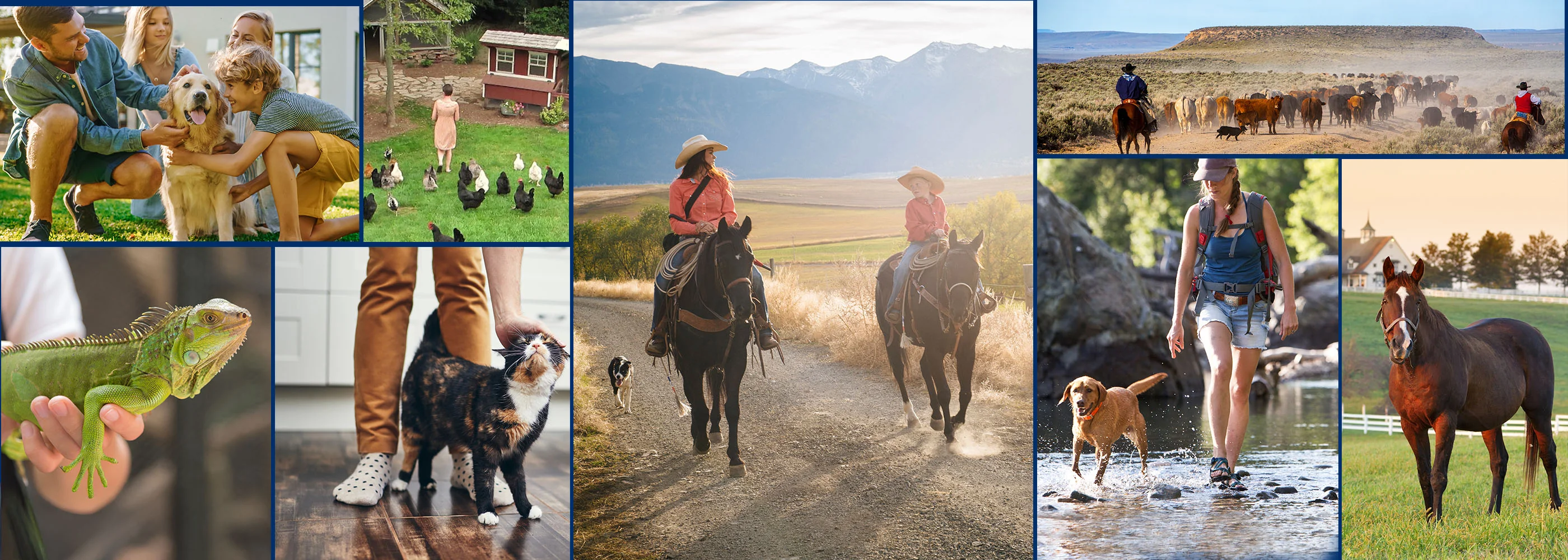 Advanced Care for Happy Pets